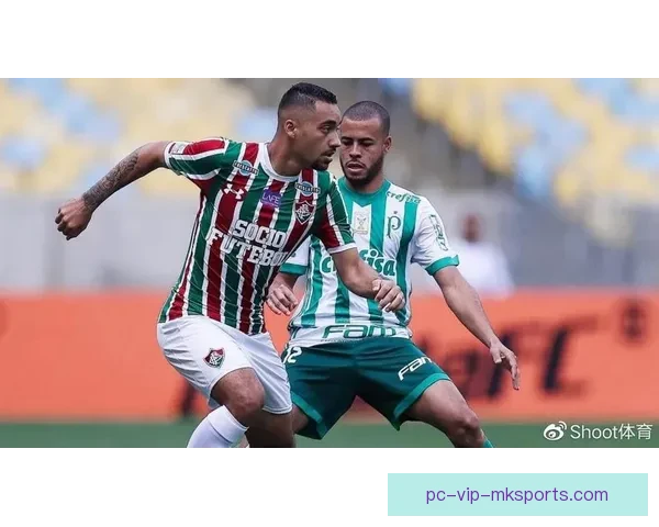 巴西杯足球直播ds全程高清解析赛程球队看点深度前瞻赛事实时